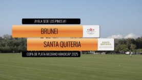 Captura de pantalla 2025-08-10 a las 1.13.04 p. m.